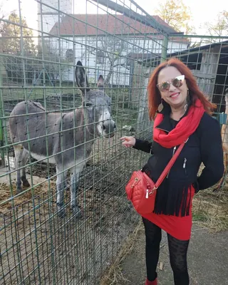 Valérie, 37 ans, plan cul à Reims